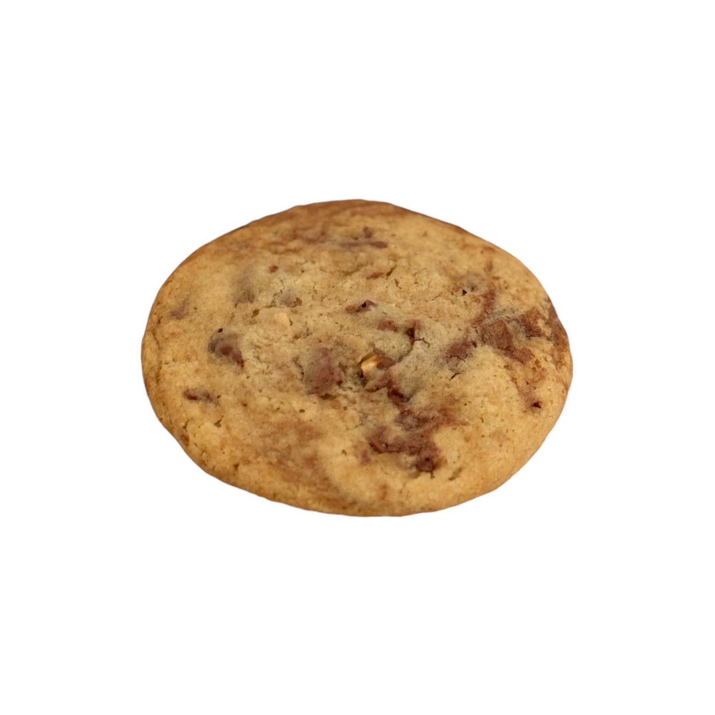 Chocolate Chip